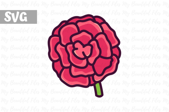 Carnations Flower Graphics and Icons Review
