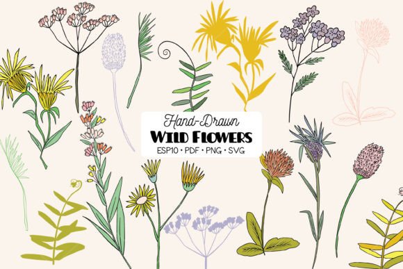 Colored Wild Flowers, Meadow Plant, Fern Graphics and Illustrations Review