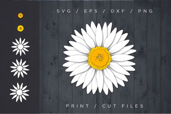 Daisy Flower Layered Cut File for 3D SVG and Paper Flowers