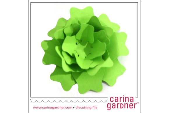 Open Succulent: A 3D SVG for Modern Paper Flowers