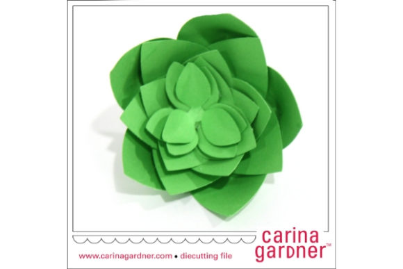 Single Succulent: A 3D SVG Review for Paper Flowers Branding