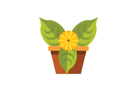 Spring Flowers Yellow with Leaf Vector Graphics and Illustrations Review