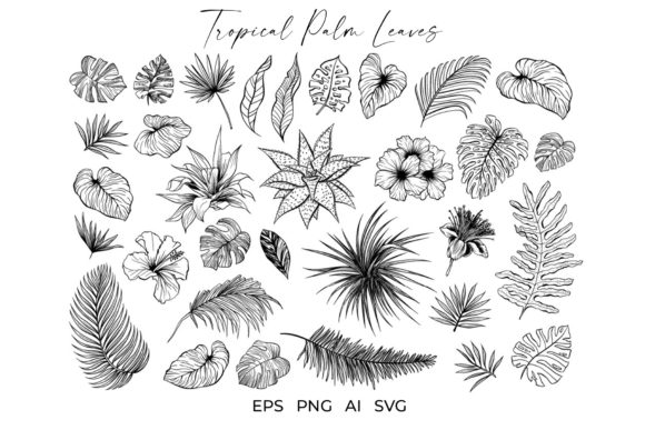 Tropical Palm Leaves and Flowers Vector Graphics for Illustrations