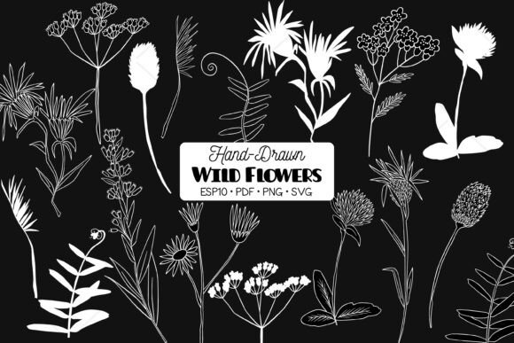 White Wild Flowers, Meadow Plant, Fern Graphics and Illustrations