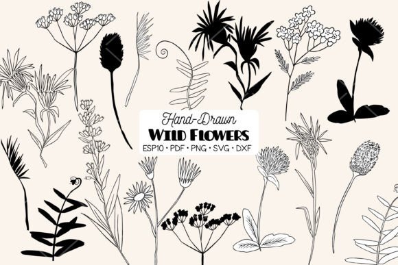 Wild Flowers, Meadow Plants, Leaf, Fern Graphics and Illustrations Review
